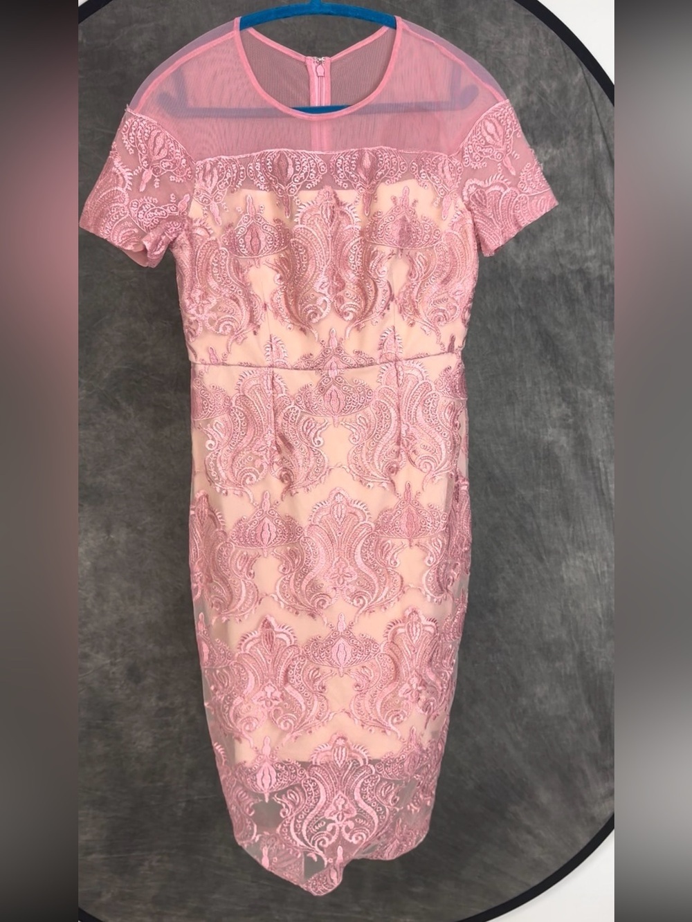 JAX Black Label Coral Pink Embroidered Lace Mesh Sheath Dress | Size 6 - Picture 4 of 6
